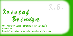 kristof brindza business card